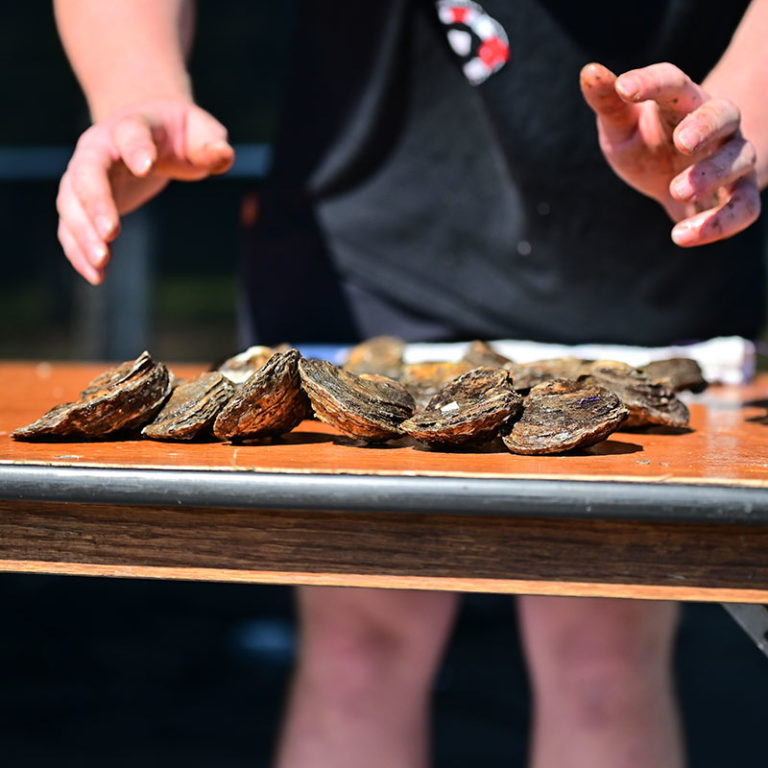 2022 Photo Gallery Milford Oyster Festival