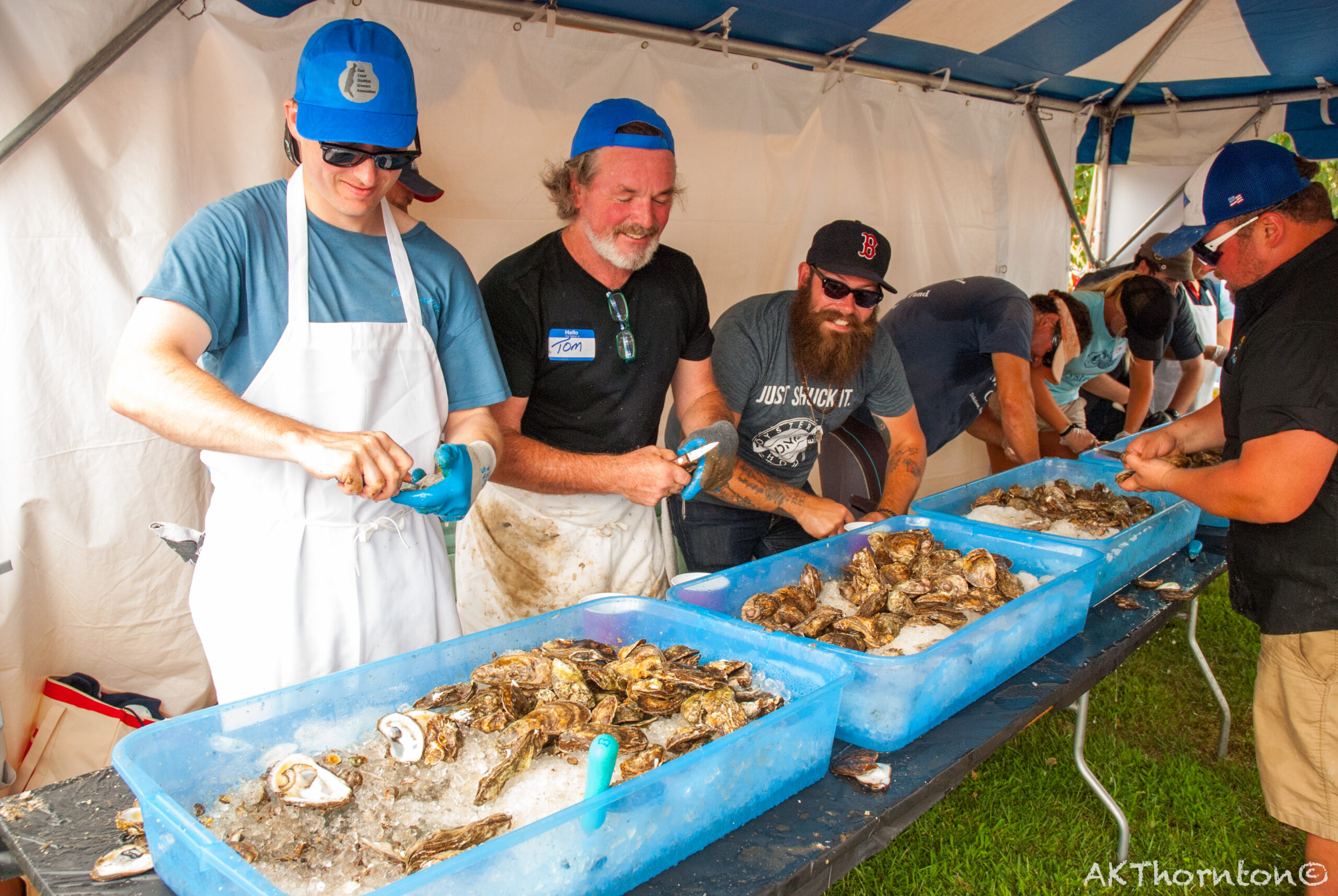 3 oysters (1)