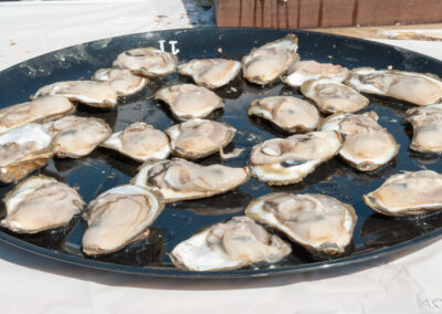 Oyster festival